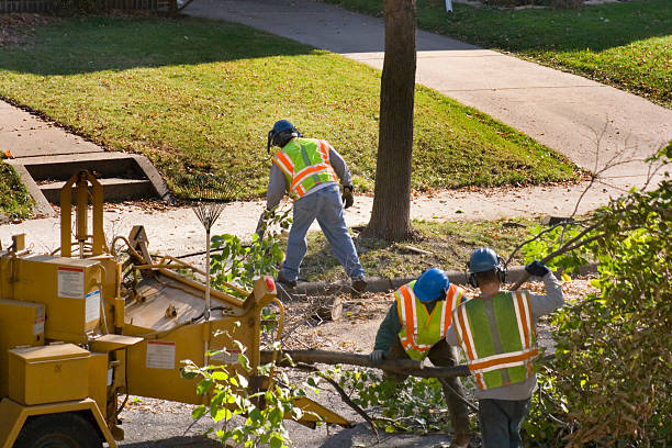 Lawn Drainage Solutions in Forest Heights, MD